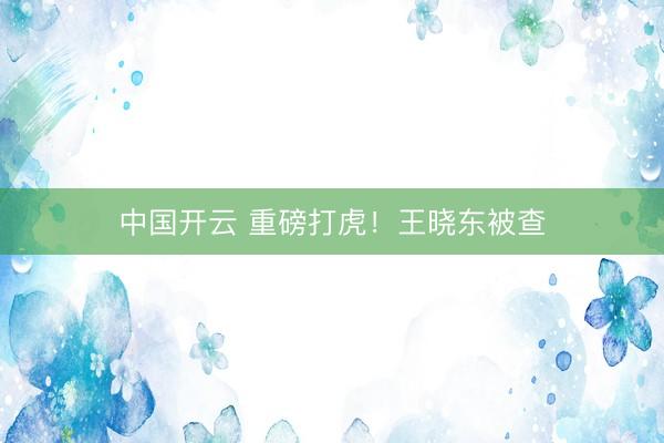 中国开云 重磅打虎！王晓东被查