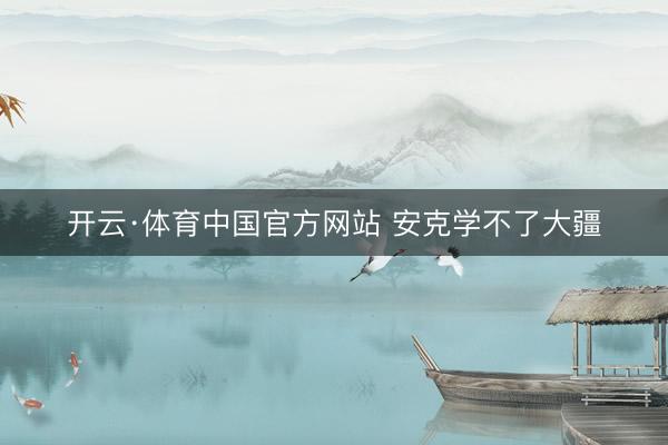 开云·体育中国官方网站 安克学不了大疆