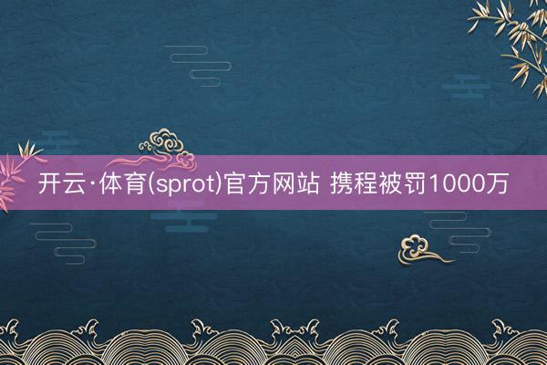 开云·体育(sprot)官方网站 携程被罚1000万